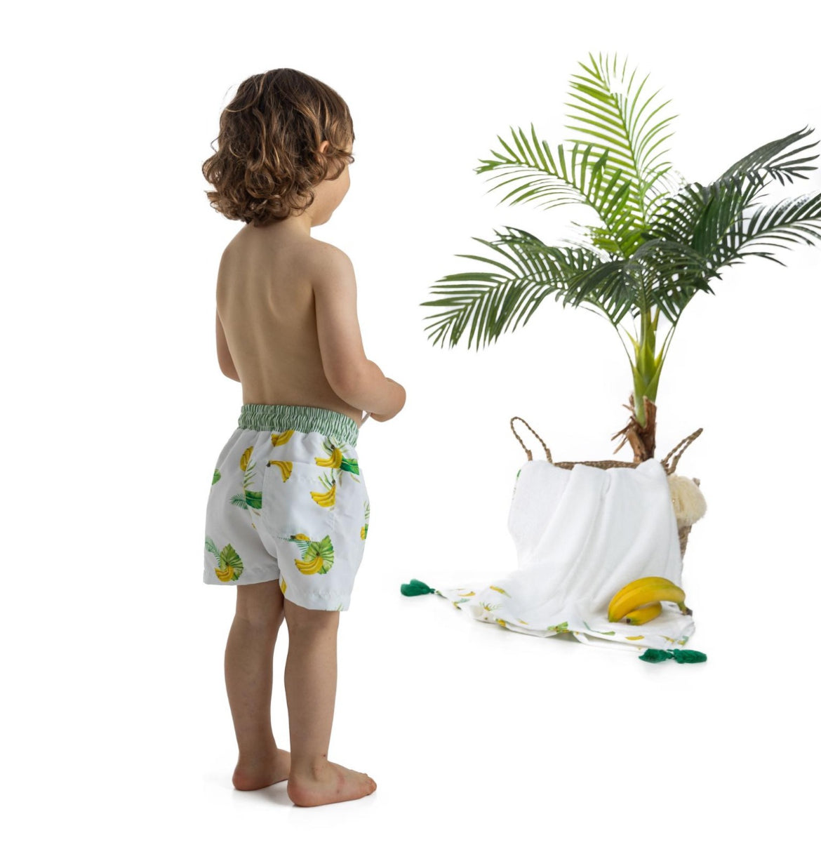 Boxer in Tela Tropical