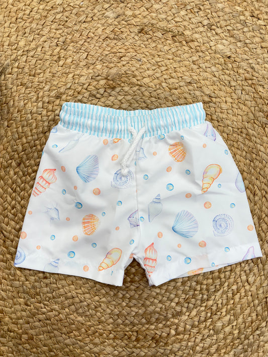 🆕Boxer conchiglia 🐚