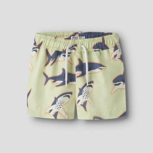 Boxer squali 🦈